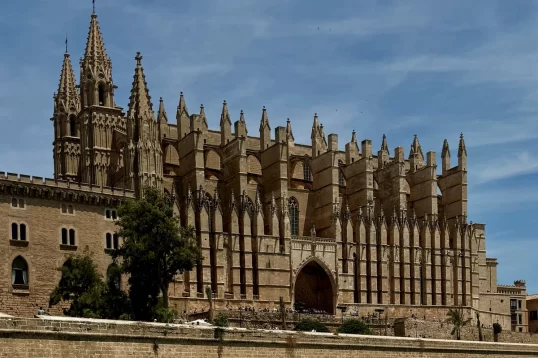 Qué hacer en Mallorca en 2 días - Vista panorámica de Palma