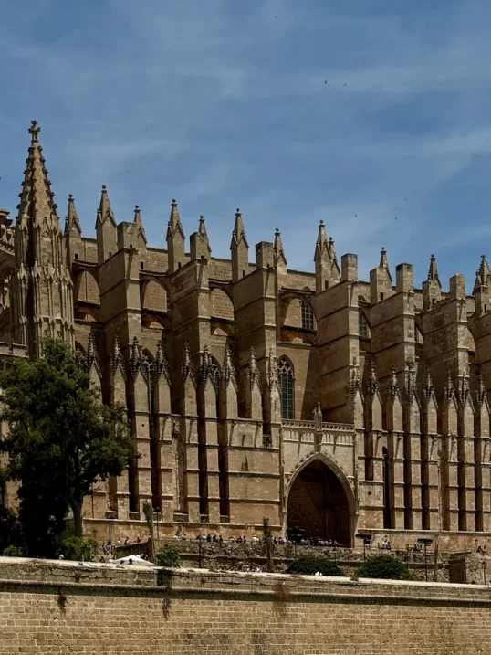 Qué hacer en Mallorca en 2 días - Vista panorámica de Palma