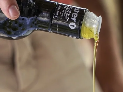 Vertiendo aceite de oliva virgen extra durante la cosecha de aceitunas en Mallorca mostrando la tradición y el sabor local