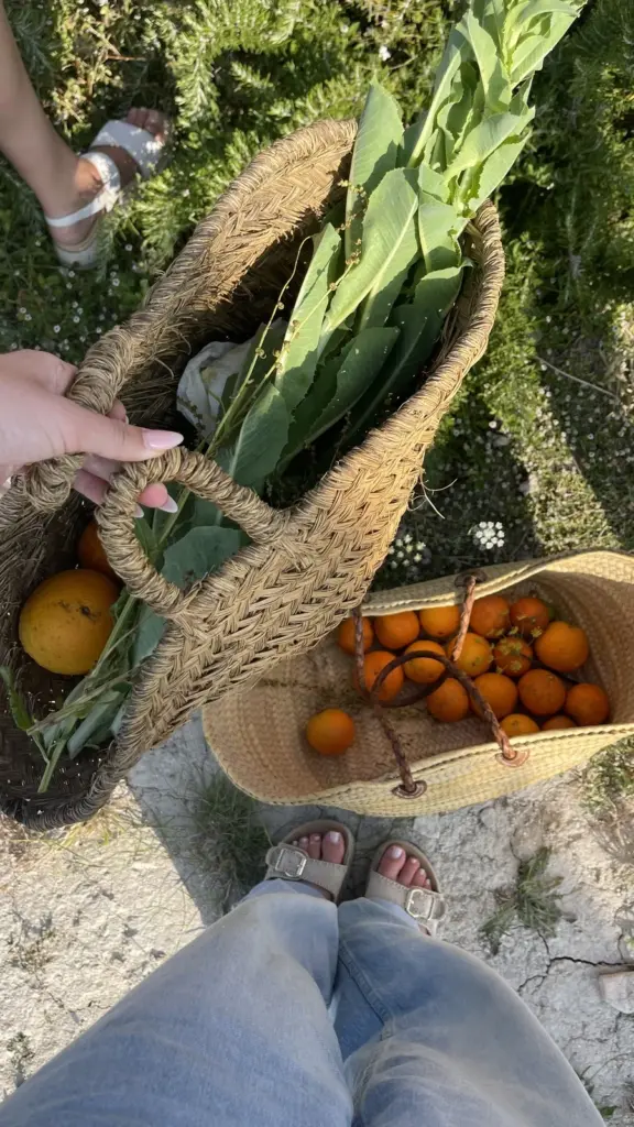 Naranjas frescas y verduras locales recogidas en cestas durante la temporada de cítricos en Mallorca