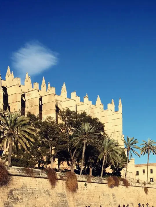 Catedral de Palma dominando el paseo marítimo de Palma de Mallorca