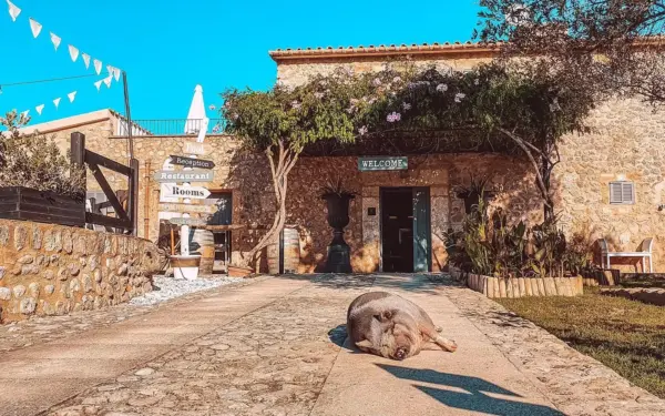Villa Vegana the best brunch spot in Mallorca