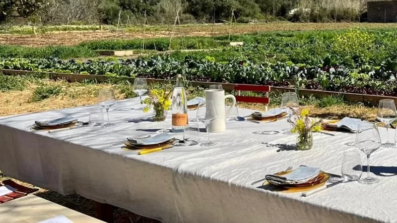 Dining in Mallorca - Tables in a farm in Mallorca