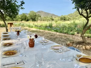 Dining in Mallorca - Table in the countryside