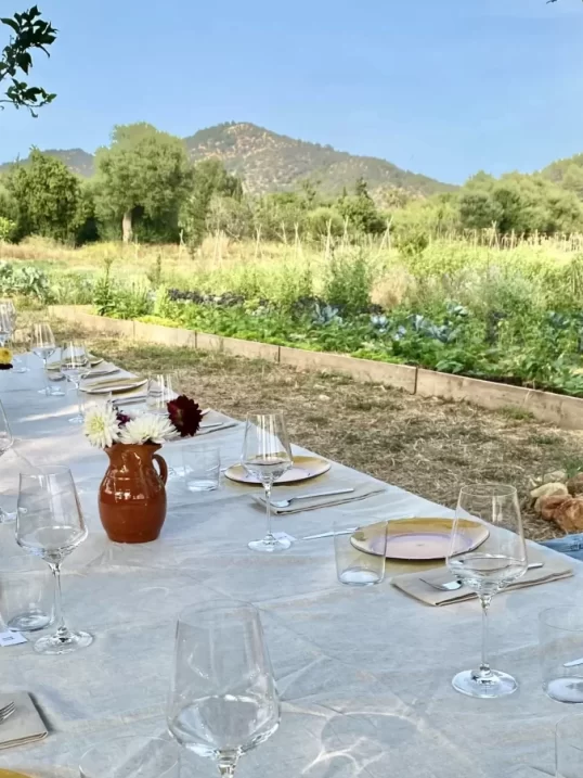 Dining in Mallorca - Table in the countryside