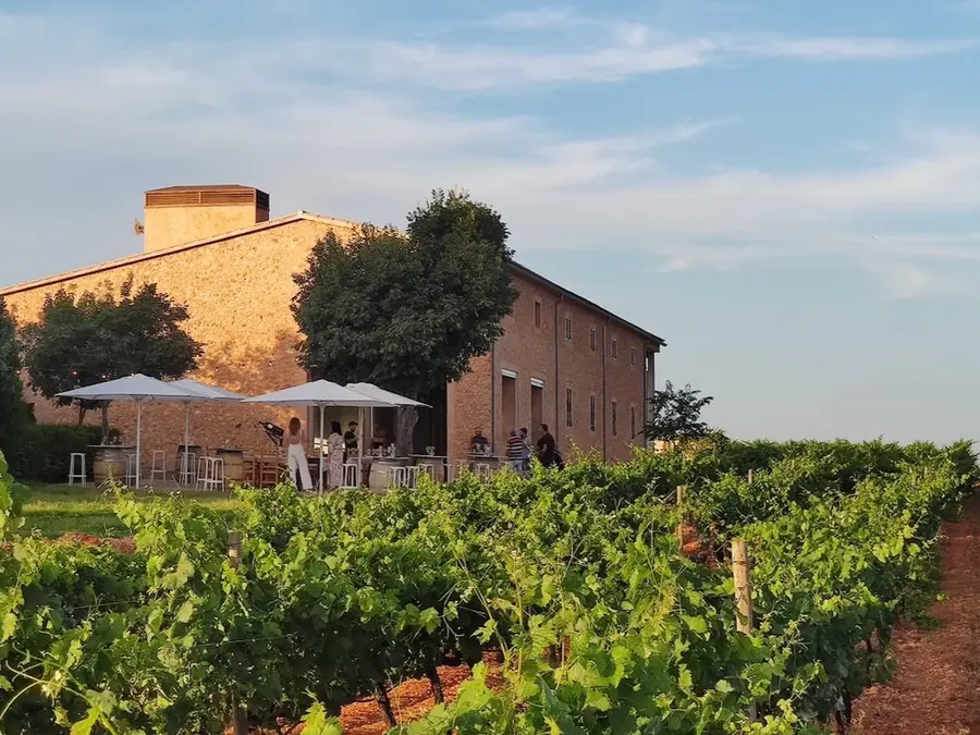 Vineyard of Son Prim, where visitors can enjoy vineyard tours and wine tastings in Mallorca