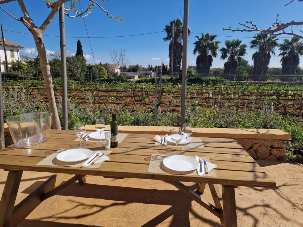 Customised culinary experiences for your group at a family-run bodega in Santa Maria