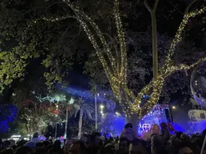 Festive New Year’s Eve celebrations and dining options in Palma de Mallorca during December.