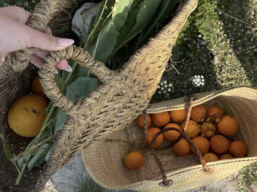 Fresh oranges and local greens collected in baskets during citrus season in Mallorca 
