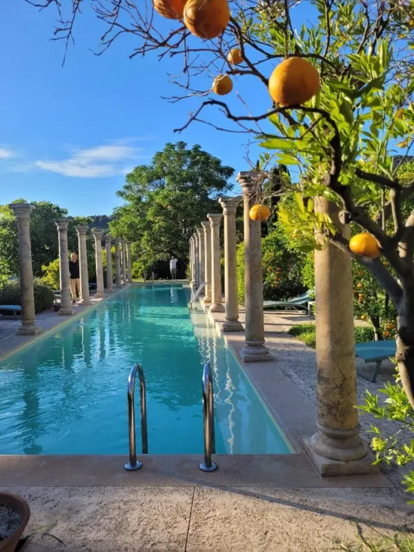 Finca Cas Sant - rural dessert stop in the Sóller orange valley