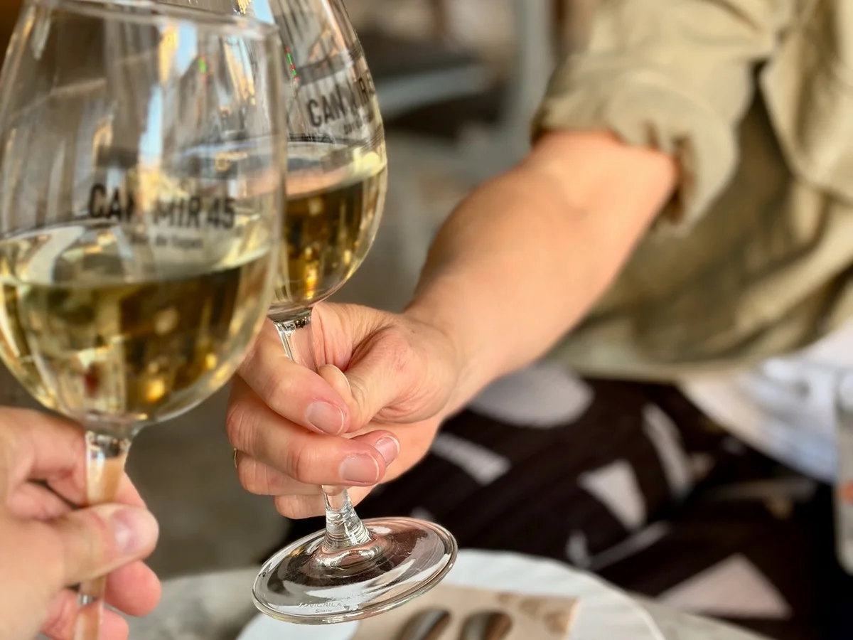 The best food tour in Pollença Mallorca