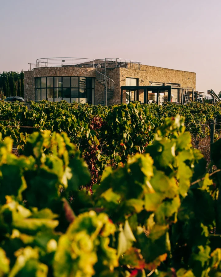 Bodega the Mexican Winemaker X Cas Quitxero in Sencelles