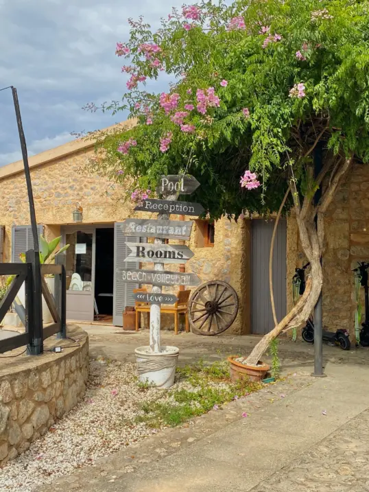 Traditional finca in Mallorca with stone facade and flowering tree near entrance.
