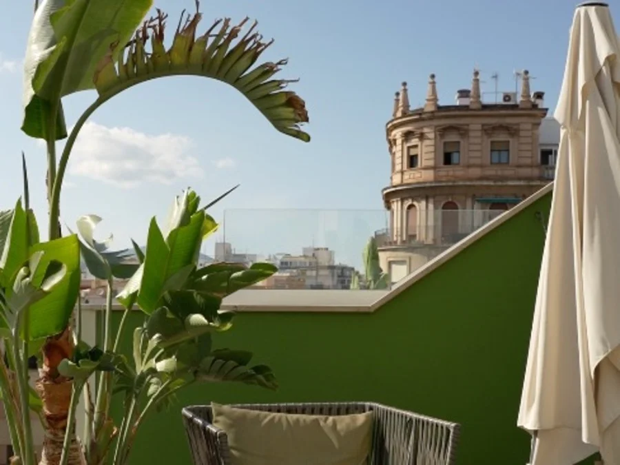 Views from the rooftop of Raco Restaurant on the Blanquerna in Palma