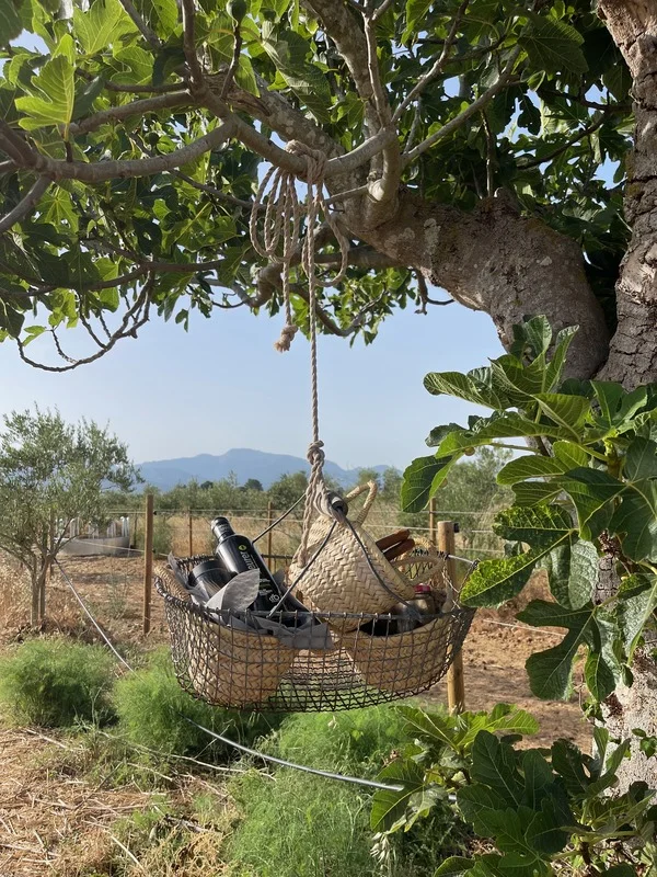 Social Dinner Club Mallorca - Farm experience at Can Cavall Blau in Sencelles